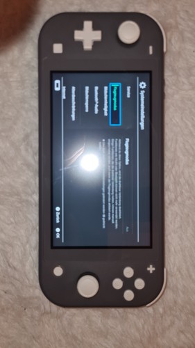 Nintendo switch lite grau mit - switch,