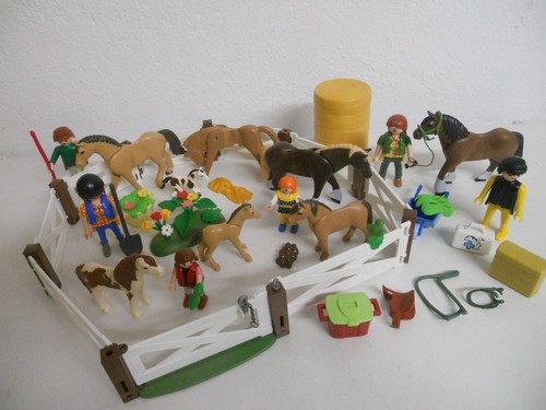 Pferde koppel pferd - pferde,
