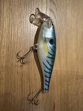 Rapala Super Shad Rap 14 SSR 14 CR Croaker