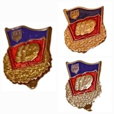 3 Abzeichen für gutes Wissen