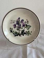 Teller Nymphenburg Ø 12 cm Porzellan weiß lila florales Dekor