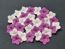 30 Zuckerblumen Blüten