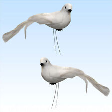 2 weiße Tauben mit echten