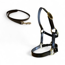 MINI SHETLAND FOHLEN LEDER