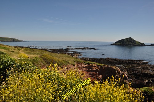 Foto 12x8 south hams - foto,