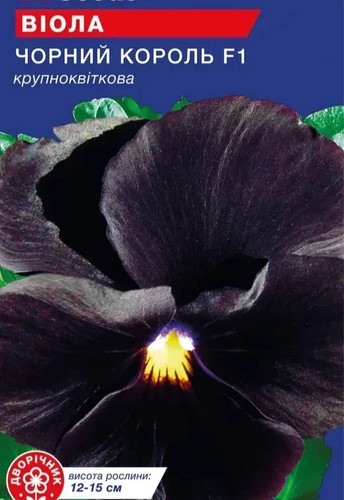 Viola stiefmütterchen - viola,