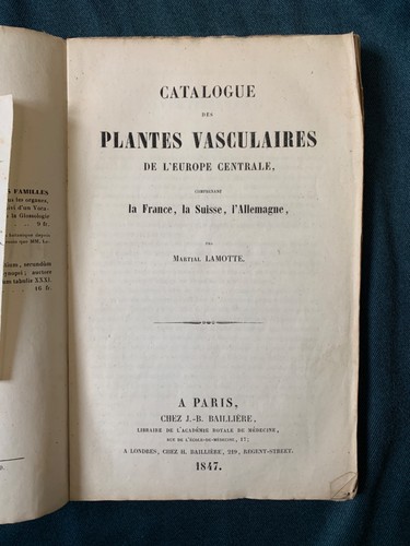 Katalog der
