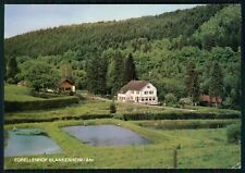 AK - Forellenzucht Zaunegger - RESTAURANT FORELLENHOF - Blankenheim Ahr