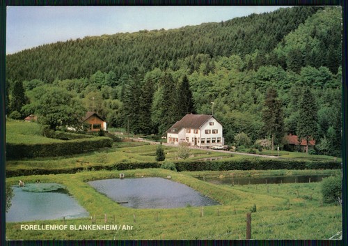 Forellenzucht zaunegger - -,