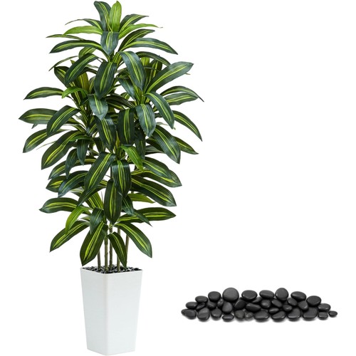 150cm kunstpflanze drachenbaum - kunstpflanze,