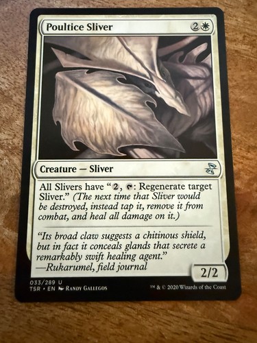 Poultice sliver - poultice,