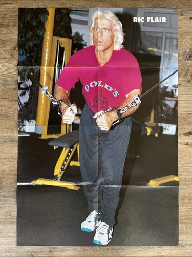 Ric flair vintage poster aus - ric,