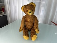 Alter Sammler Teddy Bär
