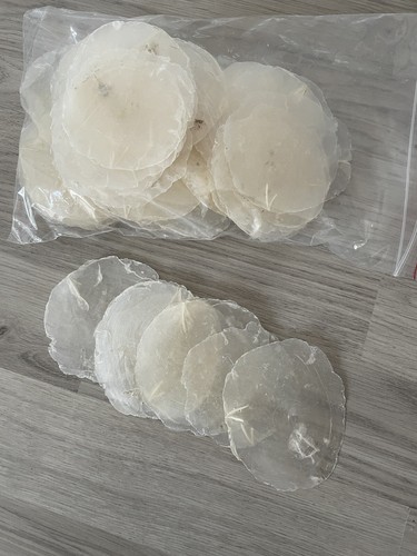 Perlmutt scheiben - perlmutt,