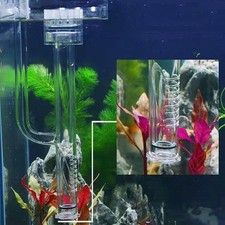 Aquarium Skimmer Acryl Lilie