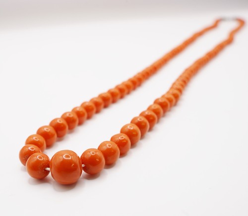 Lachs korallen kette sardegna - kette,