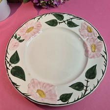K3) Villeroy & Boch Wild- Rose