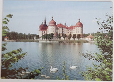 AK Schloß Moritzburg-