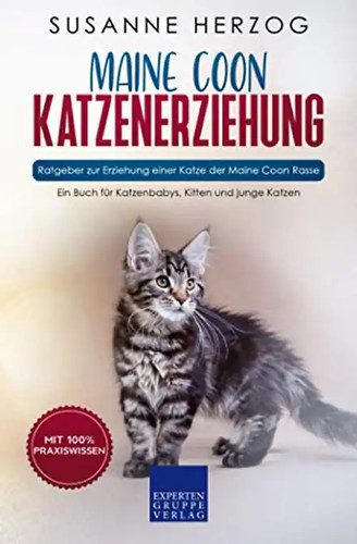 Maine coon katzenerziehung - coon,