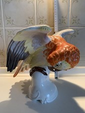 Papagei von Rosenthal Ca. 22