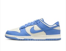 Nike Dunk Low Retro DV0833-113