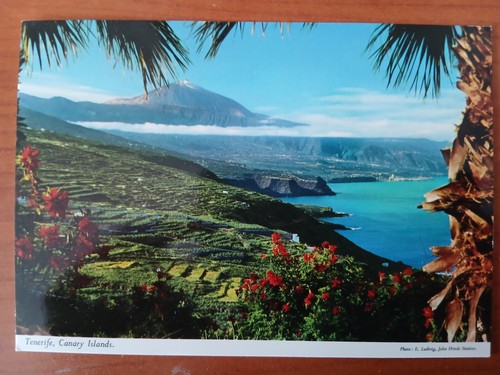 Postkarte 2305 nichtgelaufen