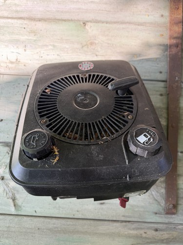 Briggs stratton viertaktmotor - briggs&stratton,