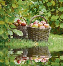 Outdoor Textilposter Äpfel