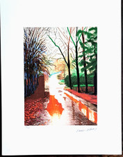 David Hockney  - 65x50 cm