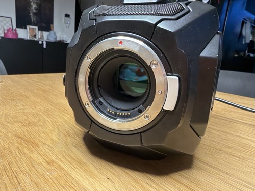 Black magic ursa - black, mini