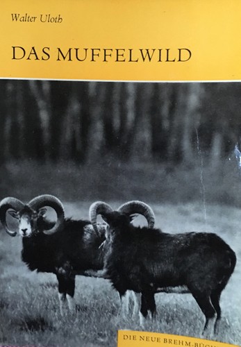 Walter uloth das muffelwild - uloth:,