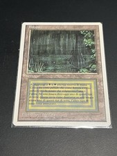 Magic the Gathering Mtg -