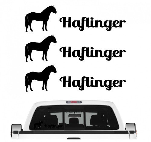 Haflinger gebirgspferd - haflinger,