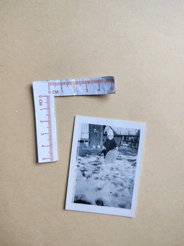Alte fotografie foto - alte,