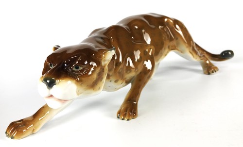 Seltener goebel leopard - goebel,