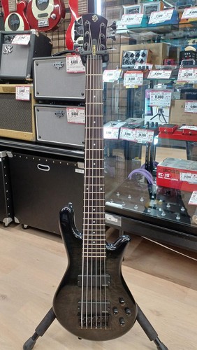 Spector string bass legend6 - spector, 6-string