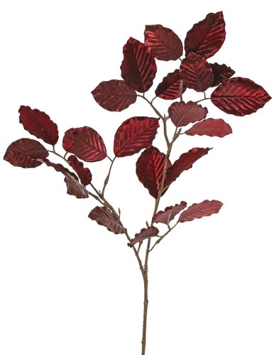 Artplants deko buche zweig - artplants,