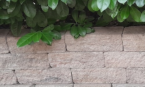 Mauerstein beton farbe - mauerstein, beton,