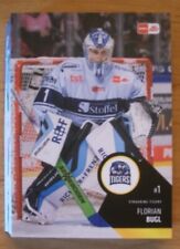 DEL 2023/24 Straubing Tigers Team Set Hauptserie Komplett 25 Karten !!!