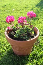 2-er SET Blumentopf