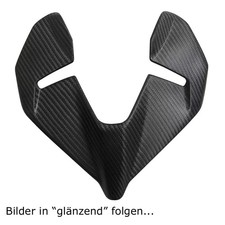 Carbon Frontverkleidung für