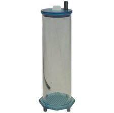 Fauna marin skim breeze - fauna,