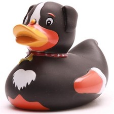 Badeente Hund Quietscheente