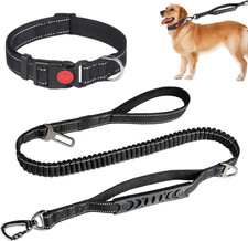 Hundeleine Große Hunde Mit