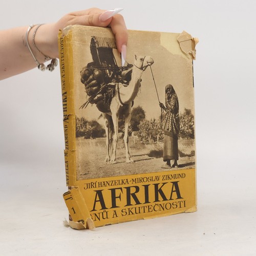Afrika snů skutečnosti - afrika,