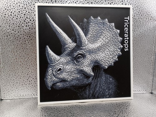 Wandbild dinosaurier - wandbild,