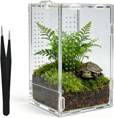 Kleines acryl terrarium für - kleines,