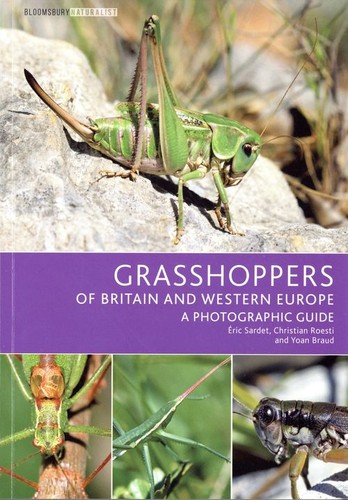 Grasshoppers britain and - grasshoppers,