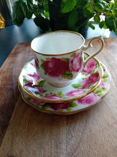 Royal albert old english rose - royal,
