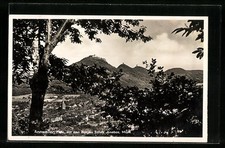 AK Annweiler / Pfalz, Gesamtansicht mit Burgen Trifels, Anebos und Münz 1937 